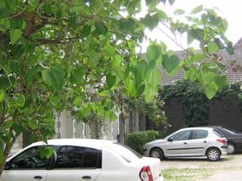 Apartamento Au Relais Des Thermes