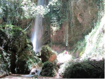 Hotel Europa Olympia