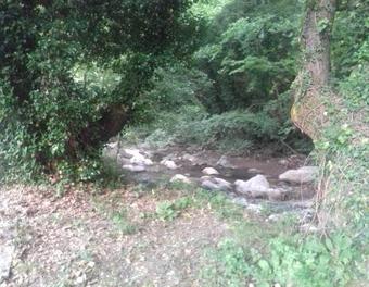 Apartamento Eleni Studios