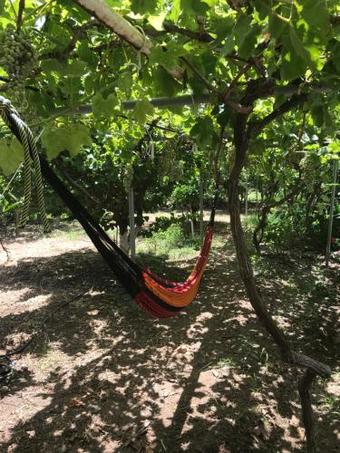 Apartamento Seaside Studios