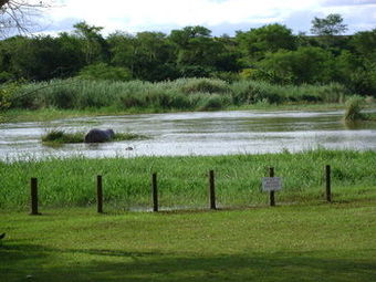 Hotel Orchards Farm Cottages