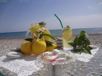 Ver fotos