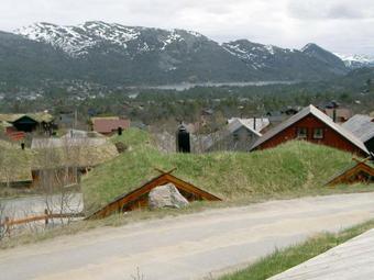 Four-bedroom Holiday Home In Hovden 2