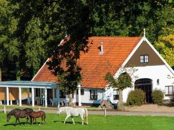 Chalet Chaletpark Kuiperberg 6