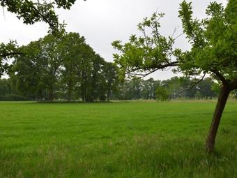 Hostal Cosy Holiday Home In Guelders Near The Forest