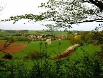 Hotel Herberg De La Fronti�re