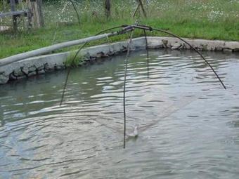 Lodge Cabana Floare De Maramures