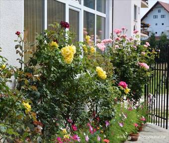 Hostal Pensiunea Emma