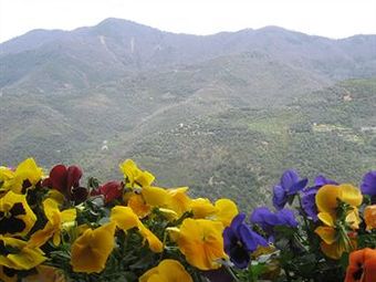 Hotel Vecchia Fattoria