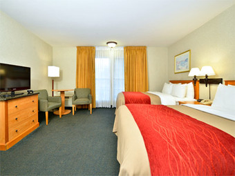Comfort Inn & Suites Hotel Circle Seaworld Area