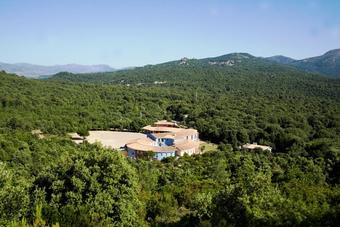 Hotel Orlando Resort