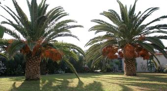 Hotel Gorgona Amudara