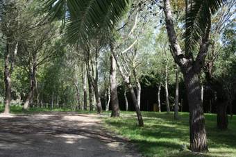Hotel Bungalows Medina Sidonia