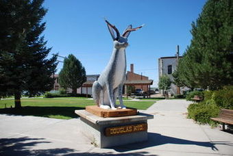 Holiday Inn Express Hotel & Suites Douglas