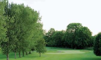 Best Western Vine Hotel