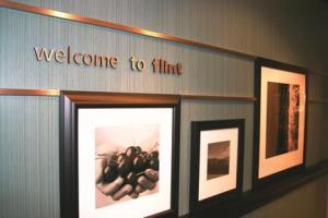 Hotel Hampton Inn And Suites Flint/g