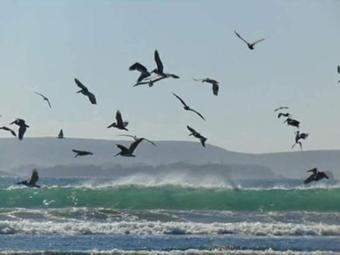 Lodge Cabanas Viento Sur. Los Vilos