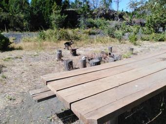 Do�a Marta Del Truful