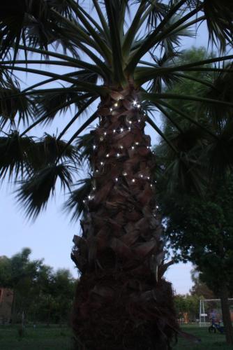 Alojamiento El Aromo