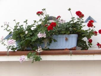 Hotel Palacio Do�ana