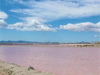 Two-bedroom Apartment In Lo Pagan