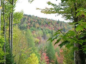 Hotel Motel Des Pays D'en Haut