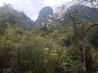 Ver fotos