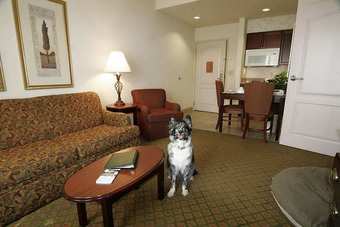 Hotel Homewood Suites By Hilton Memphis-hacks Cross Tn