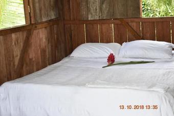 Apartamento Caba�a El Majaguo El Valle Choco Colombia