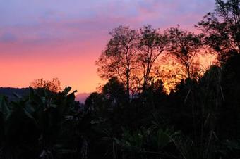 Albergue Ayahuasca Casa Art�stica