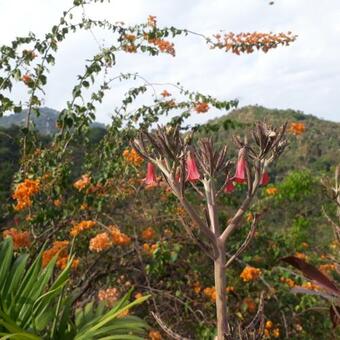 Ver fotos