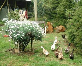 Hotel La Posada De Quevedo