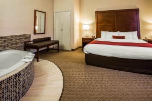 Hotel Comfort Suites Stafford