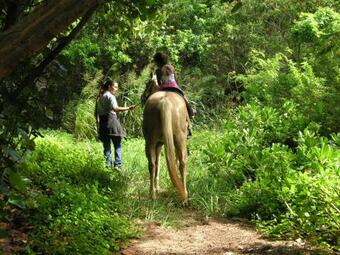 Apartamento Modern, Romantic Vibes In The Tropics