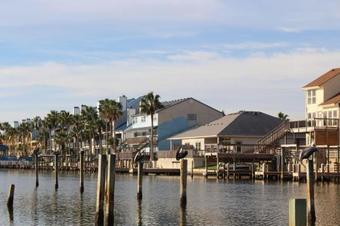 Seahorse 105