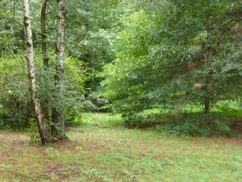 Lodge Caba�a Del Parque