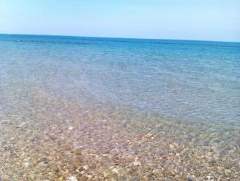 Casa Vacanze Pineta
