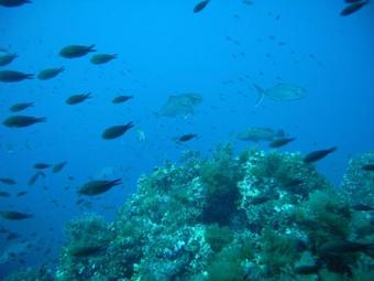 Hostal Villaggio Est Affittacamere