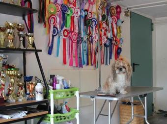 B&B Los Perros Hermanos