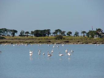 Apartamento Casa S'anea