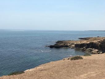 Apartamento R�sidence Les Violettes