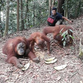 Wa Ngah Bukit Lawang
