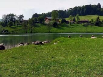 Apartamento Ferienwohnung Maier