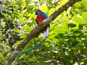 Villa Blanca Cloud Forest Hotel And Nature Reserve