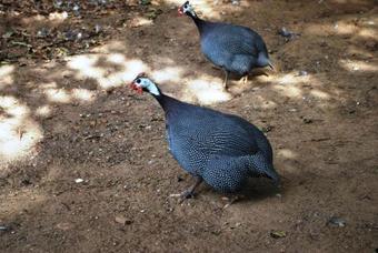 Posada Quinta Dos Doges