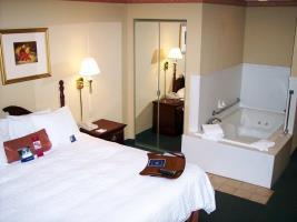 Hotel Hampton Inn South Haven