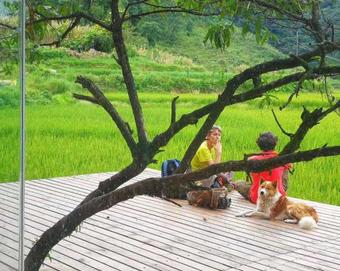 Hostal Beyond The Terrace Residence