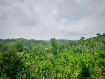 Wayanadia Resort Hotel