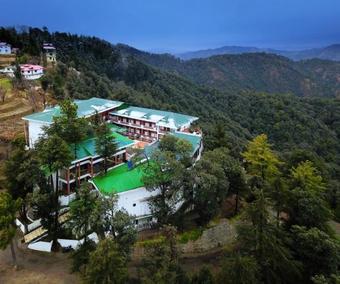 Hotel Treehouse Chail Villas