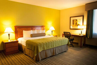 Hotel Best Western Plus Miami-doral/dolphin Mall